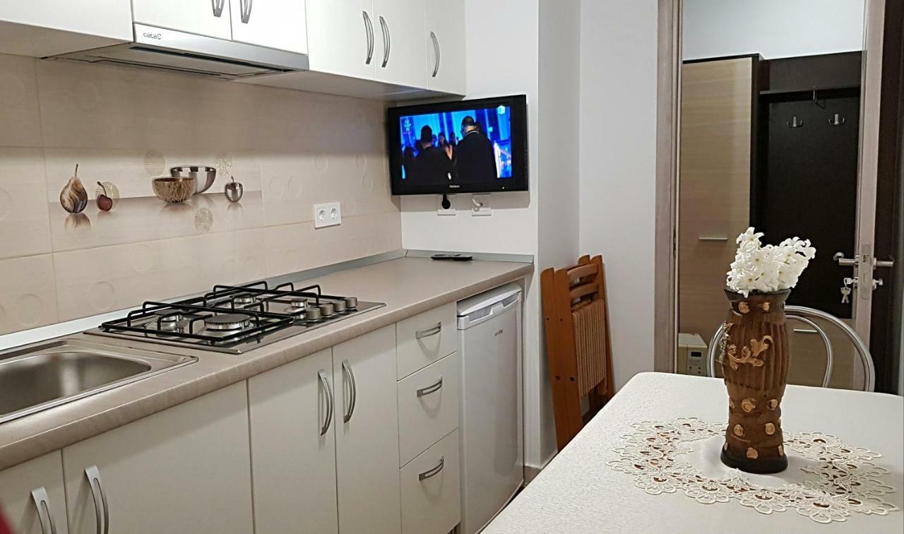Garsoniera Jad Apartment Tirgu Ocna Ngoại thất bức ảnh