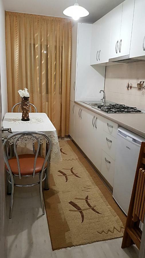 Garsoniera Jad Apartment Tirgu Ocna Ngoại thất bức ảnh